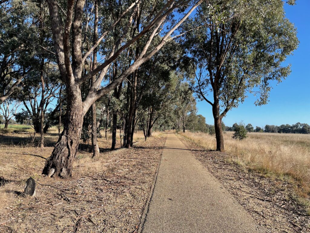 Victorian Bird Walks – Birding Victoria – Walks and Rail Trails