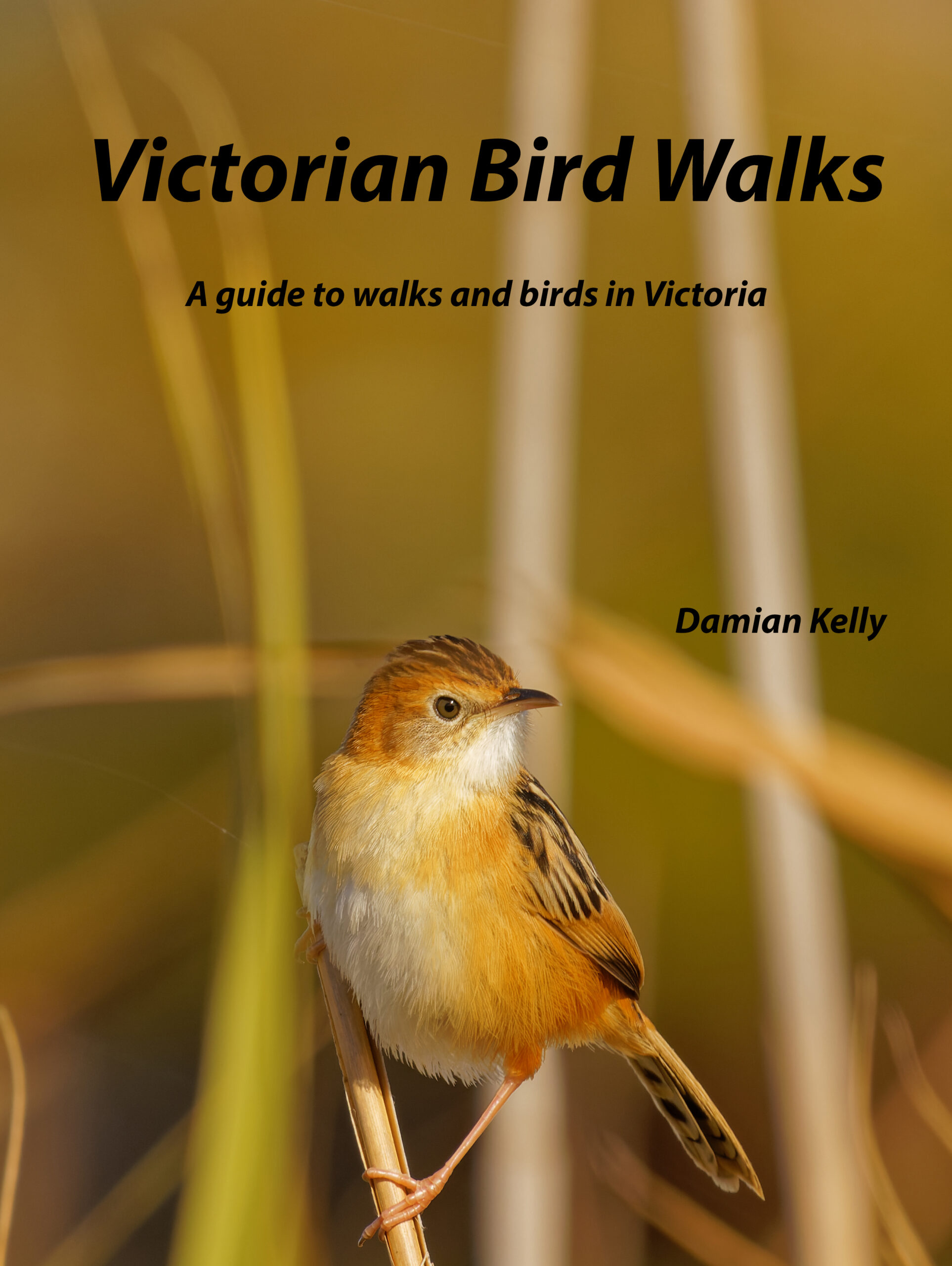 Victorian Bird Walks – Birding Victoria – Walks and Rail Trails