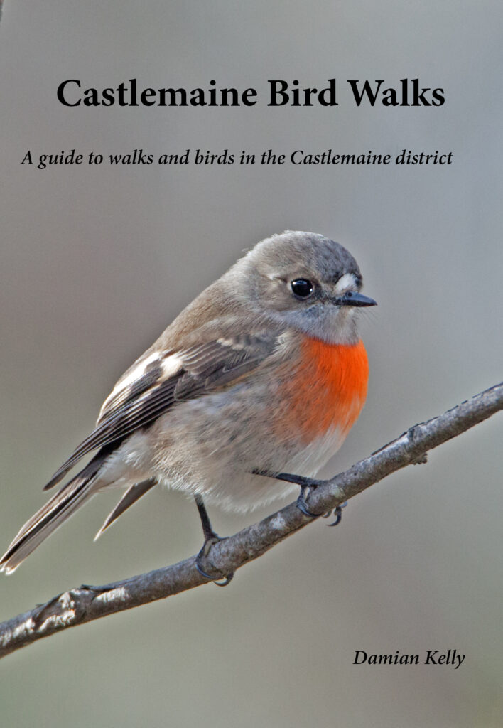 Victorian Bird Walks – Birding Victoria – Walks and Rail Trails